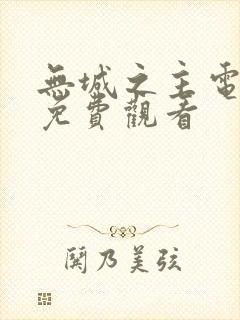 无城之主电视剧免费观看