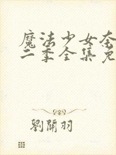 魔法少女奈叶第二季全集免费观看