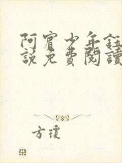 阿宾少年钰慧小说免费阅读笔趣阁