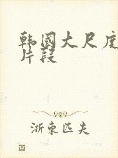 韩国大尺度电影片段