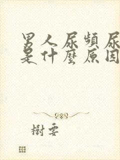 男人尿频尿不尽是什么原因封面