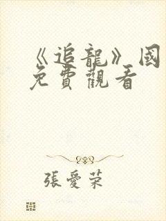 《追龙》国语版免费观看