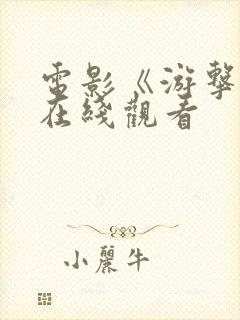 电影《游击战》在线观看