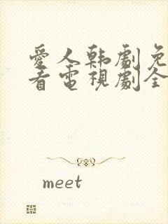 爱人韩剧免费观看电视剧全集