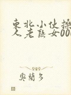 东北小伙搡老女人老熟女0000