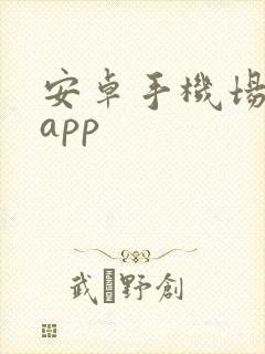 安卓手机场记板app