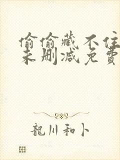 偷偷藏不住小说未删减免费阅读