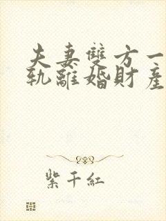 夫妻双方一方出轨离婚财产如何分割