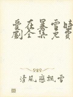 爱在暴雪时分短剧全集免费观看