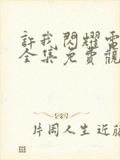 许我闪耀电视剧全集免费观看