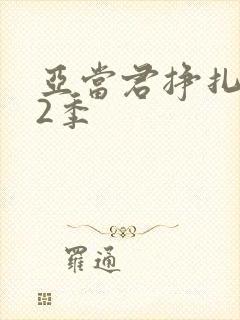 亚当君挣扎吧第2季