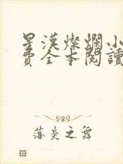 星汉灿烂小说免费全本阅读