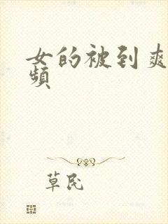 女的被到爽的视频封面