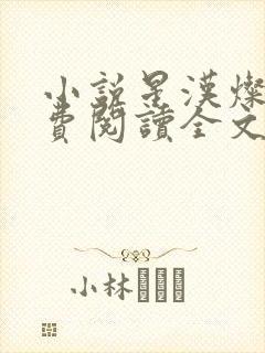 小说星汉灿烂免费阅读全文