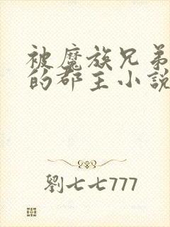 被魔族兄弟囚禁的郡主小说免费阅读全文