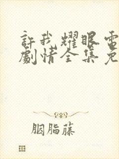 许我耀眼电视剧剧情全集免费观看