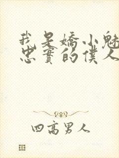 我是娇小魅族的忠实的仆人封面