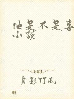 他是不是喜欢我小说封面