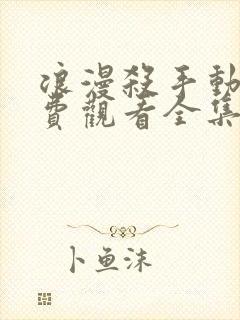 浪漫杀手动漫免费观看全集