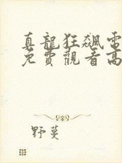 真龙狂飙电视剧免费观看高清