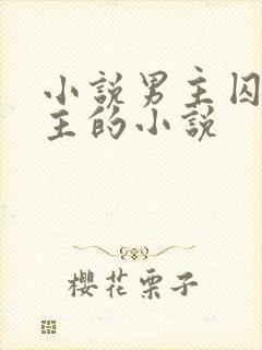 小说男主囚禁女主的小说封面