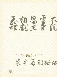 再相思处不相逢短剧免费观看