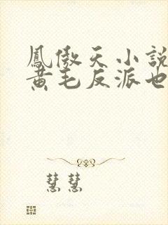 凤傲天小说里的黄毛反派也想幸福生活