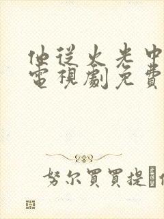 他从火光中走来电视剧免费观看