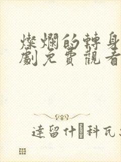 灿烂的转身电视剧免费观看全集高清