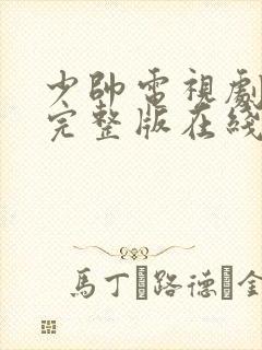 少帅电视剧免费完整版在线看高清