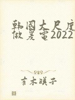 韩国大尺度激情做爰电2022