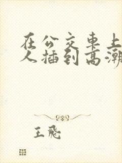 在公交车上被男人插到高潮