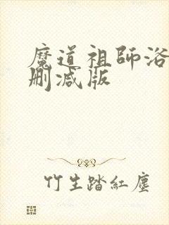 魔道祖师浴桶未删减版封面