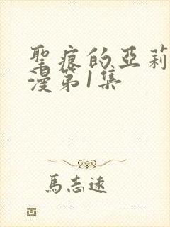 圣痕的亚莉亚动漫第1集