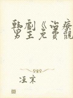 韩剧《治疗》双男主免费观看