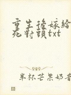 重生后嫁给前夫死对头txt
