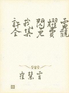 许我闪耀电视剧全集免费观看封面