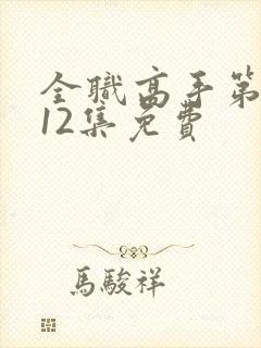 全职高手第二季12集免费