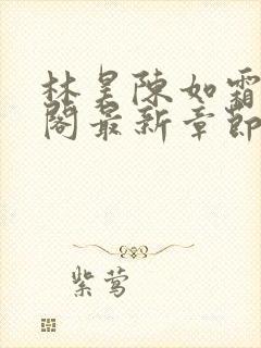 林昊陈如霜笔趣阁最新章节更新封面