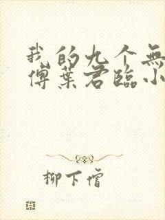 我的九个无敌师傅叶君临小说