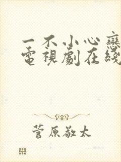 一不小心恋爱了电视剧在线播放封面