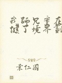 我师兄实在太稳健了境界划分封面