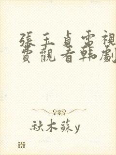 张玉贞电视剧免费观看韩剧网