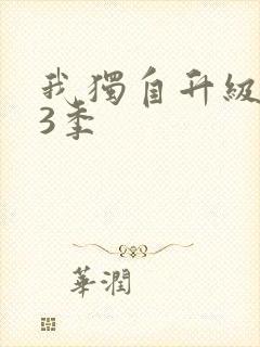 我独自升级 第3季