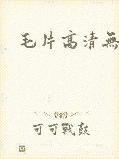 毛片高清无遮挡