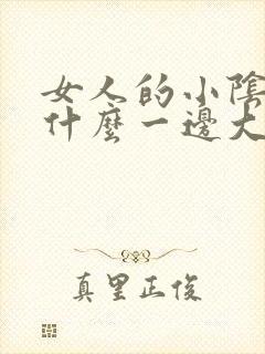 女人的小阴唇为什么一边大一边小封面