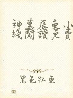 神墓辰东小说在线阅读免费封面