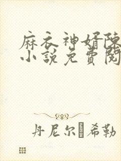 麻衣神婿陈黄皮小说免费阅读封面