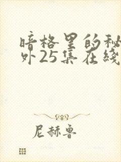 暗格里的秘密番外25集在线观看