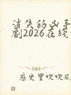 消失的凶手电视剧2026在线观看免费